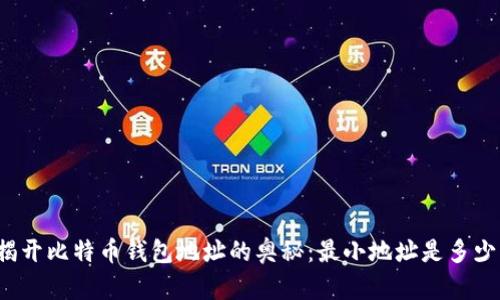 揭开比特币钱包地址的奥秘：最小地址是多少？