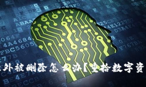 比特币钱包意外被删除怎么办？重拾数字资产的详细指南