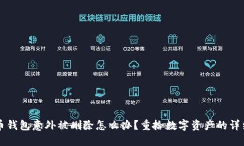 比特币钱包意外被删除怎么办？重拾数字资产的详细指南