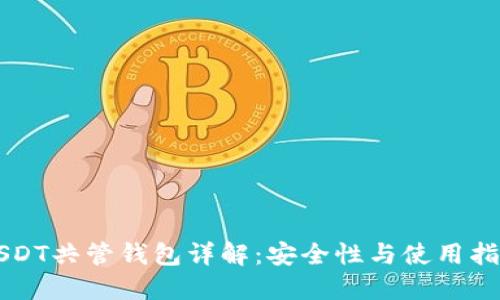 USDT共管钱包详解：安全性与使用指南