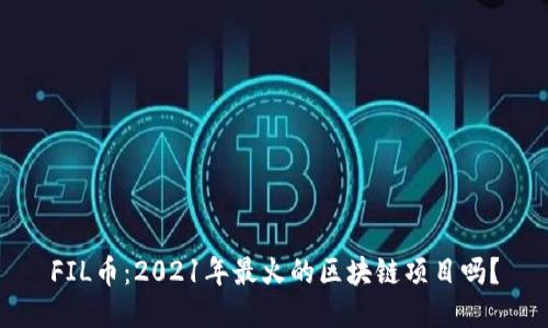 FIL币：2021年最火的区块链项目吗？