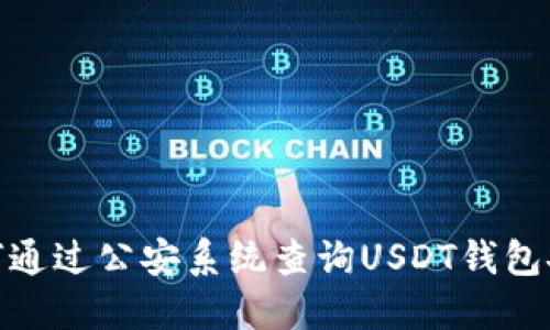 : 如何通过公安系统查询USDT钱包安全性