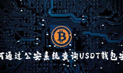 : 如何通过公安系统查询USDT钱包安全性