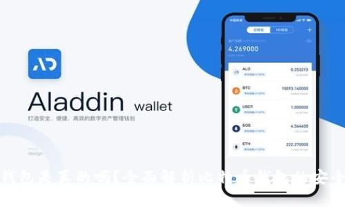 : 今天比特币钱包是真的吗？全面解析比特币钱包的安全性与使用技巧