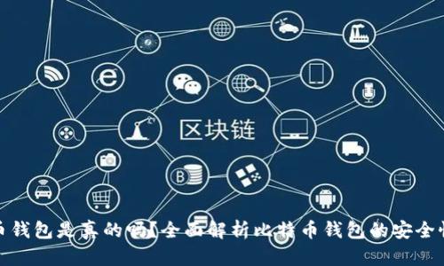 : 今天比特币钱包是真的吗？全面解析比特币钱包的安全性与使用技巧