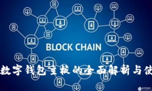 比特币数字钱包主板的全面解析与使用指南