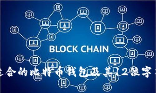 如何选择适合的比特币钱包及其12位字符的重要性