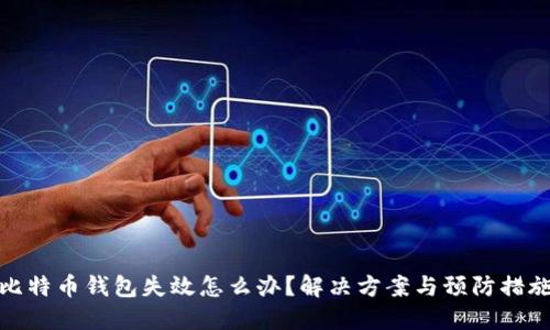 比特币钱包失效怎么办？解决方案与预防措施